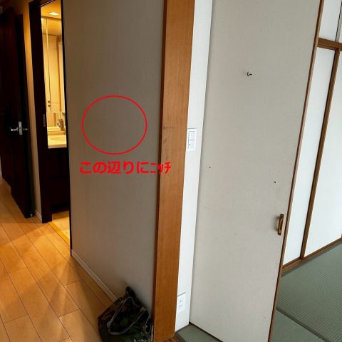 ニッチ造作前の廊下壁面｜施工前のシンプルな壁。赤い丸印部分に新しくニッチを造作し、実用性とデザイン性を両立したリフォームを実施。